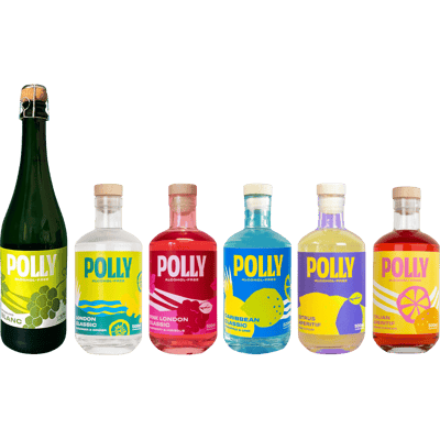 POLLY A Taste of Polly Probierpaket (6x Alkoholfreie Alternativen)