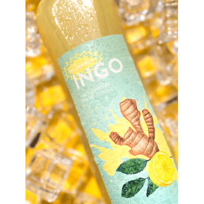 Hannheinehof Scharfer Ingo - Ginger-lemon shot