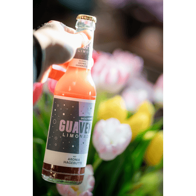 24x GUA LIMO Aronia & Hagebutte - Bio Limonade