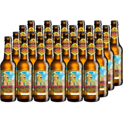 24x Braumanufaktur Cozy Mosi - alkoholfreies Pale Ale