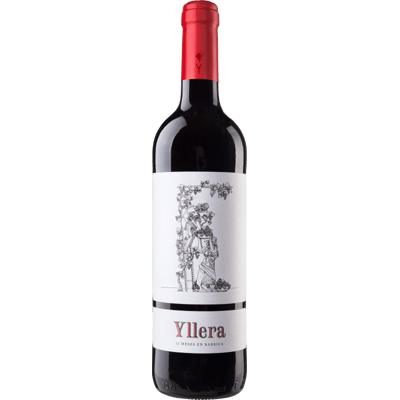 2020 Yllera 12 meses en barrica - Red wine