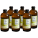 6x Erfrischerling Kombucha Hopfen