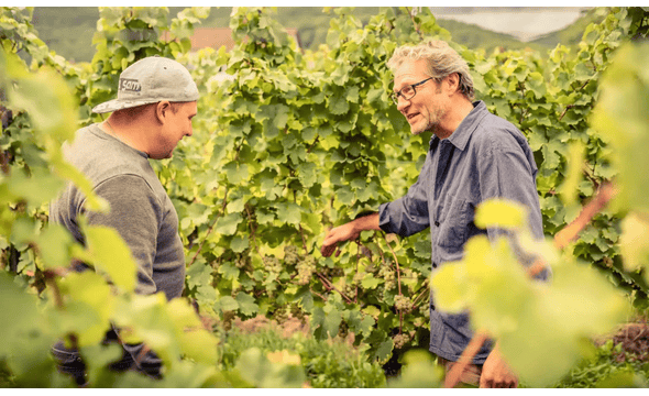 Weingut Löwenthal