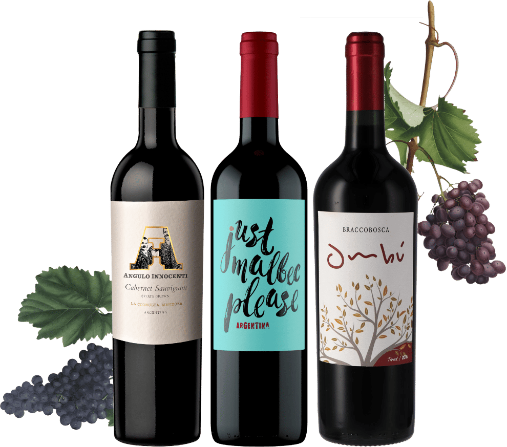 Südamerika Wein Trio Honest | Rare Probierpaket kaufen 